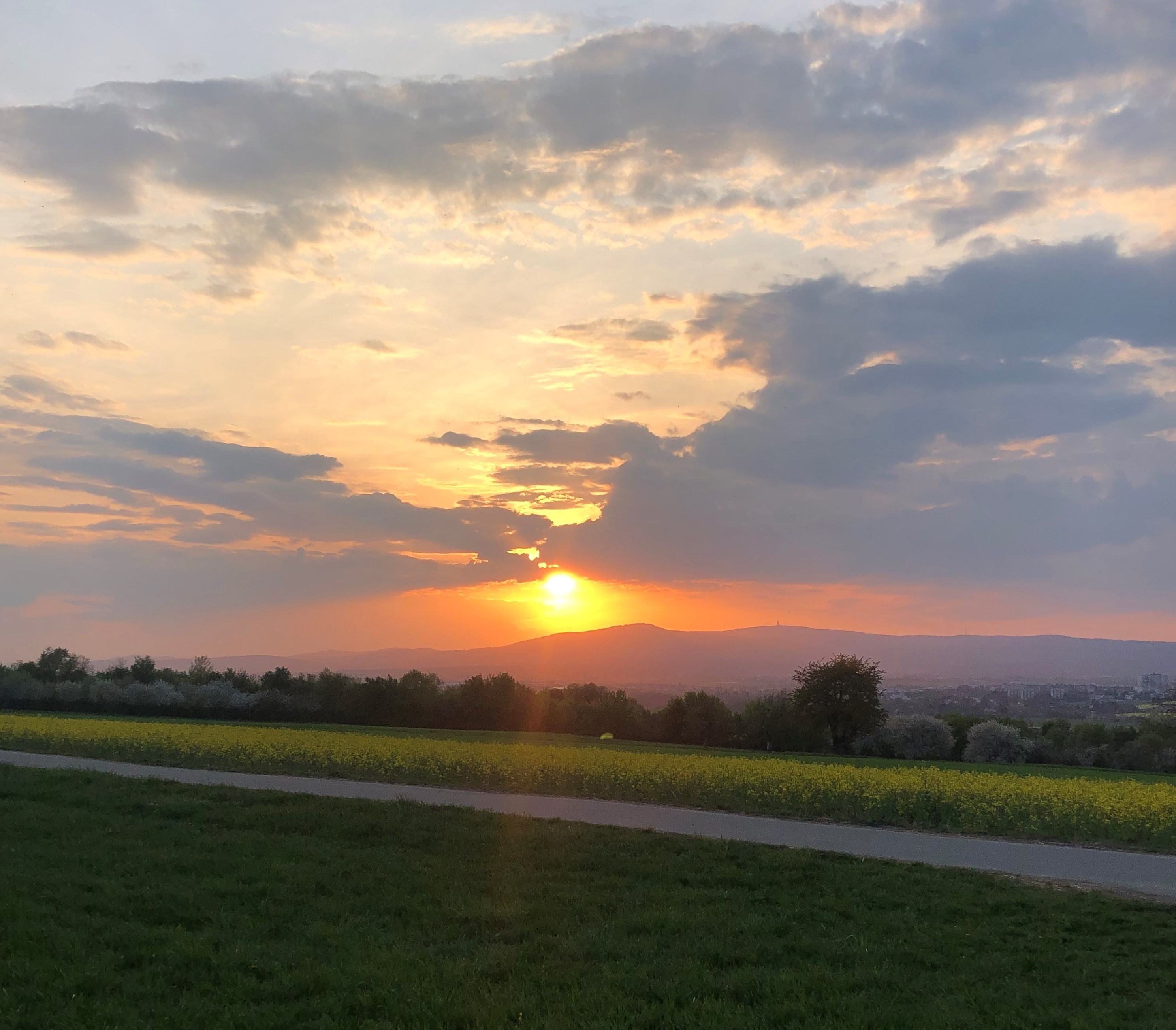 sunset on the fields